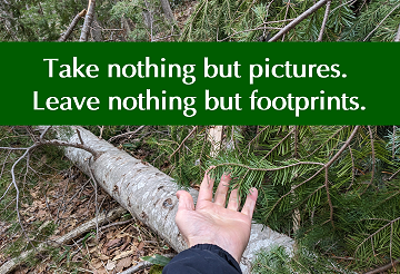 Take nothing but pictures. Leave nothing but footprints.
